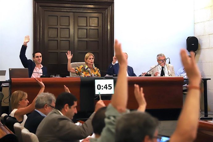 Pleno del Ayuntamiento de Jerez.