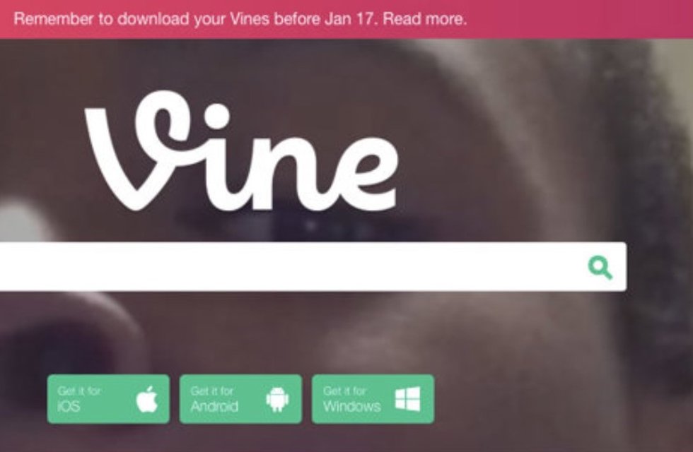 La aplicación Vine.
