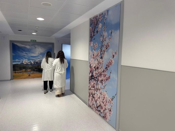 Decoración para la humanización  de la planta de Psiquiatría del Complejo Asistencial Universitario de Salamanca (CAISA).