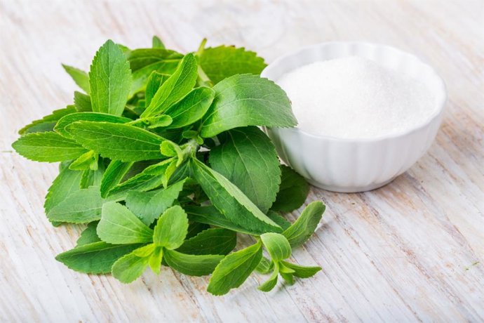 Archivo - Stevia.