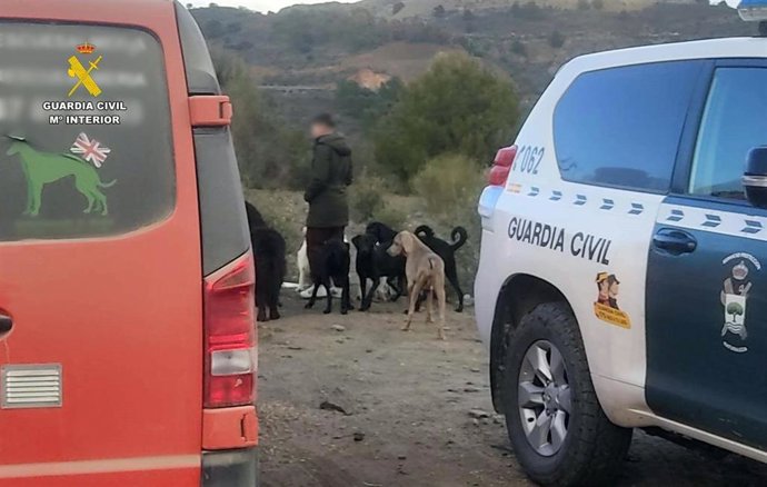 Operación 'Sanctumer'.