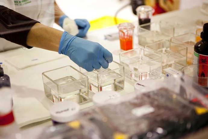 Archivo - Laboratorio de investigación para salud.