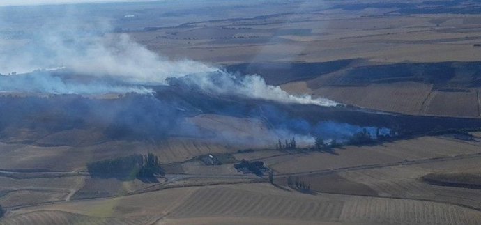Controlado el incendio de Castrodeza (Valladolid) tras afectar a más de 40 hectáreas agrícolas