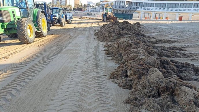 Archivo - Algas acumuladas en la playa de La Caleta de Cádiz