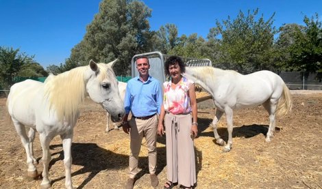 Es Andalucía - Sevilla