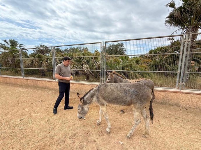 El alcalde de Alicante, Luis Barcala, visita las instalaciones de la protectora de animales.
