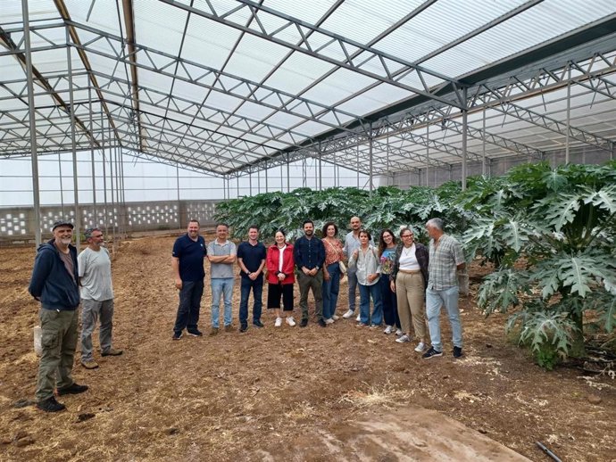 El Gobierno canario y la ULL reforzarán su colaboración para ofrecer formación especializada en el sector agrario