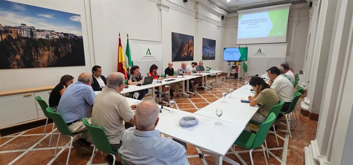El delegado territorial de Sostenibilidad y Medio Ambiente, José Antonio Víquez, en la Comisión Provincial de  Sostenibilidad