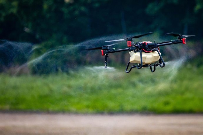 Archivo - RUSSIA, PRIMORYE REGION - JUNE 16, 2025: Treating soybean crops using agricultural drones in the Khorol District. Chinese-made XAG drones are used for comprehensive treatment of crops and plantations with plant protection products, liquid organi