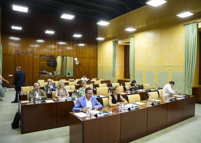 Sesión de la comisión de Justicia, Administración Local y Función Pública del Parlamento andaluz. (Foto de archivo).