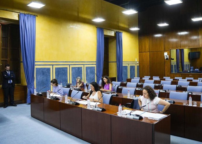 Sesión del grupo de trabajo sobre violencia de género constituido en el Parlamento andaluz.