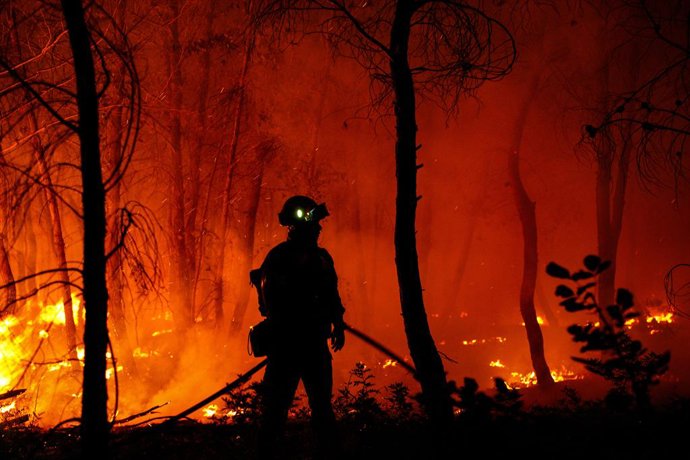 July 9, 2025, Athens, Athens, Greece: Firefighting forces during the wildfire in Asprochori, Oropos, Attica on July 9, 2025.