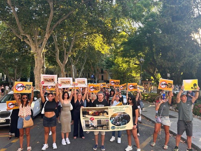 Manifestación en Palma para exigir que se acabe con las calesas de caballos.