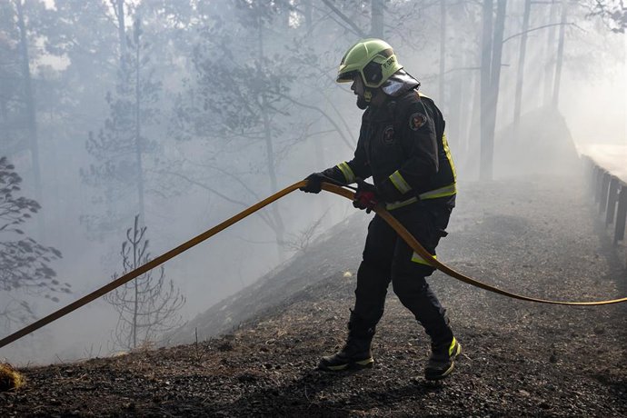 Archivo - Un bombero trabaja en la extinción del fuego, en Las Lagunetas, a 22 de agosto, en La Esperanza, Tenerife, Canarias (España). 