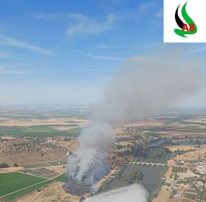 El fuego ha sido localizado este domingo en el término municipal de la localidad pacense de Medellín