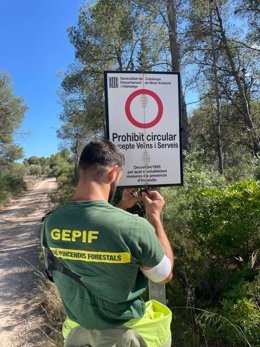 Medidas de previsión