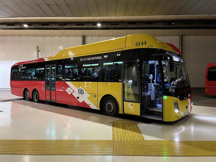 Archivo - Bus del TIB