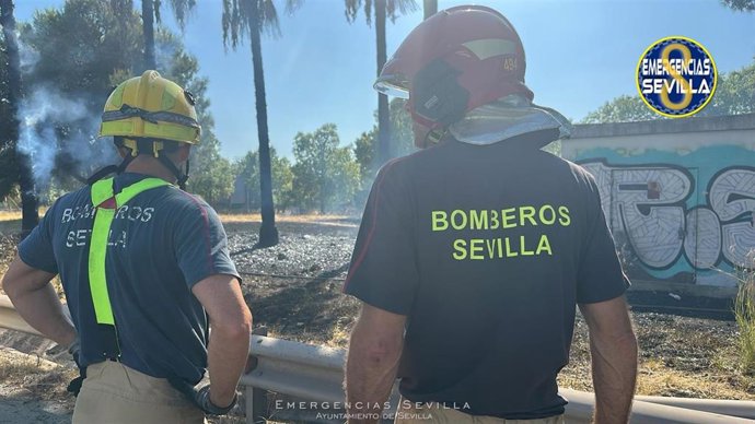 Efectivos de bomberos ante el incendio declarado este domingo en el entorno del Parque Amate.