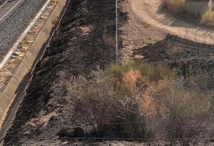 Zona afectada por el incendio, que ha obligado a suspender la circulación entre Hornachuelos (Córdoba) y Guadajoz (Sevilla).