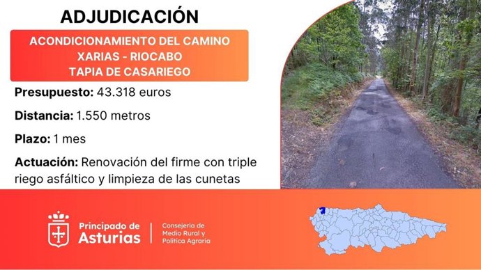 Infografía del proyecto.