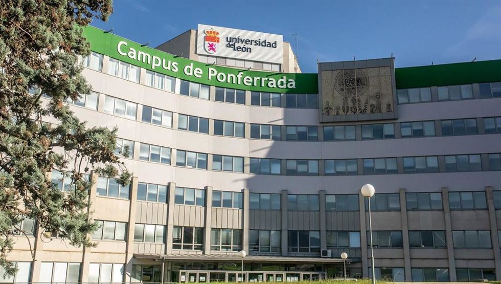 Archivo - Investigadoras de la ULE lideran un estudio internacional clave para detectar patologías en choperas con IA y satélites