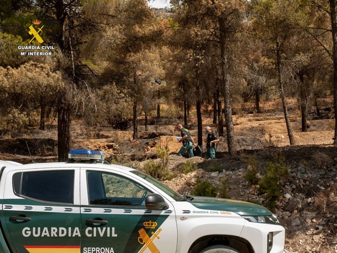 Agents del Seprona de la Guàrdia Civil en una zona afectada per l'incendi forestal d'Ibi