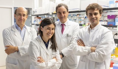 Investigación