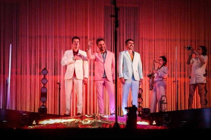 Els Amics de les Arts durant el concert