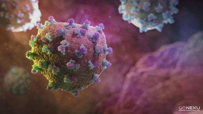Archivo - El virus de la hepatitis C (VHC) circulando por el torrente sanguíneo antes de infectar a las células