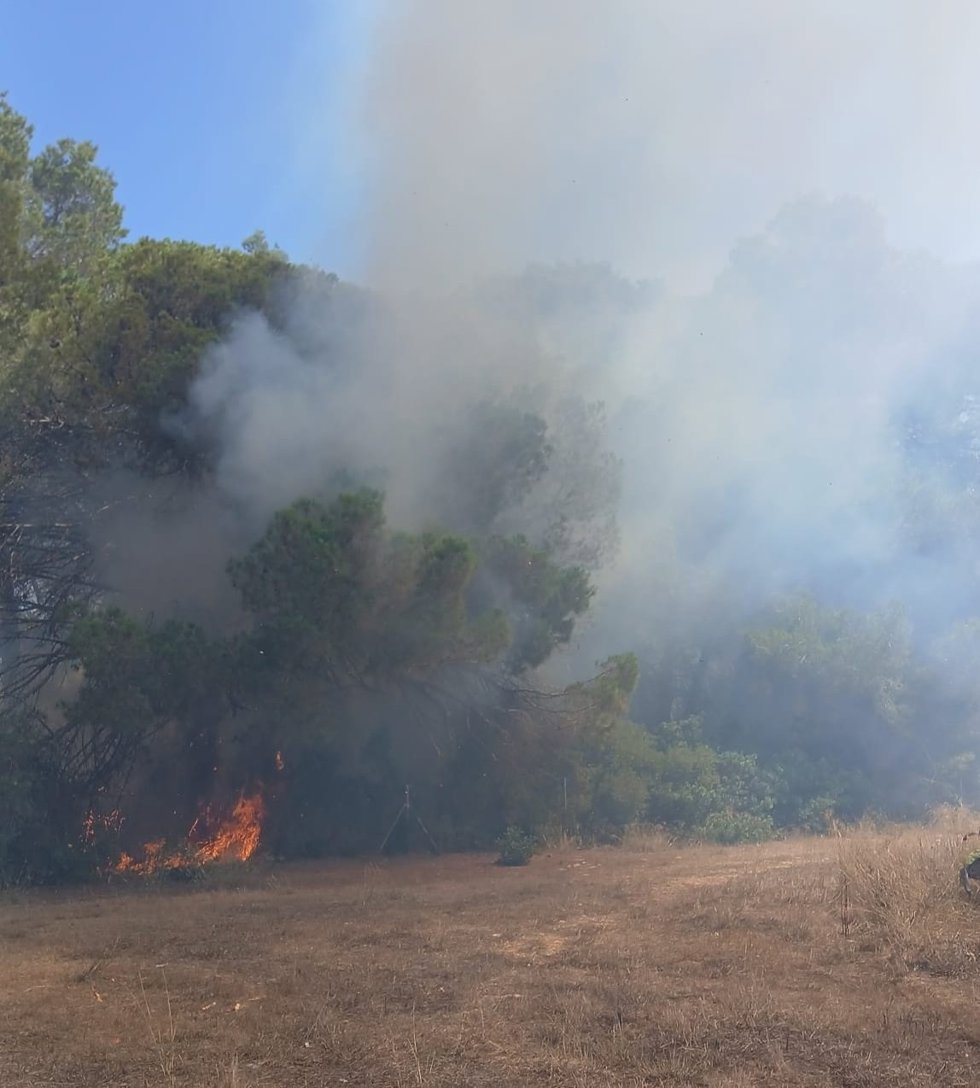 Incendio forestal en Sant Joan de Labritja