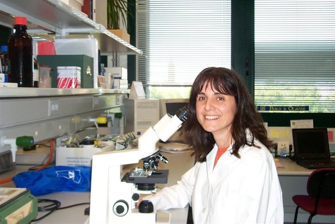 Agnès Gruart, catedrática de Fisiología de la Universidad Pablo de Olavide (UPO) de Sevilla.