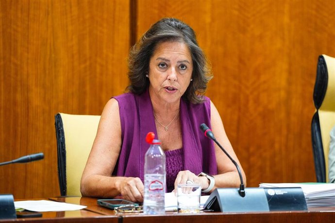 La consejera de Sostenibilidad, Catalina García, en la comisión parlamentaria del 28 de julio de 2025.