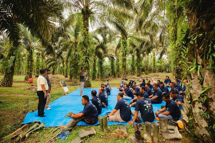 Musim Mas, Nestlé, and AAK Renew Partnership to Address Environmental, Social, and Economic Concerns