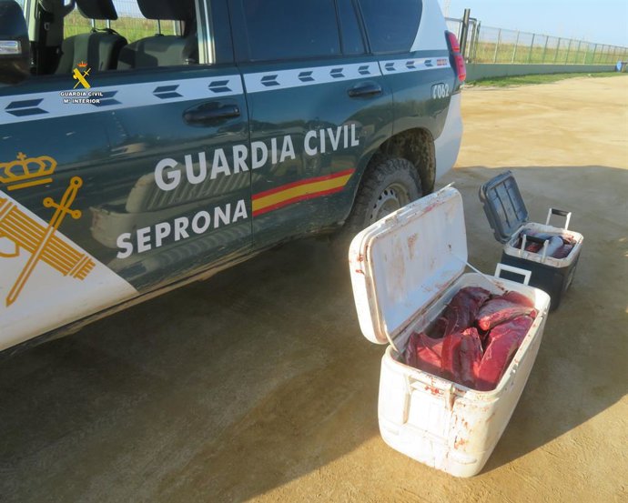 Archivo - Intervenidos en Deltebre (Tarragona) 93 kilos de atún rojo capturado de forma ilegal