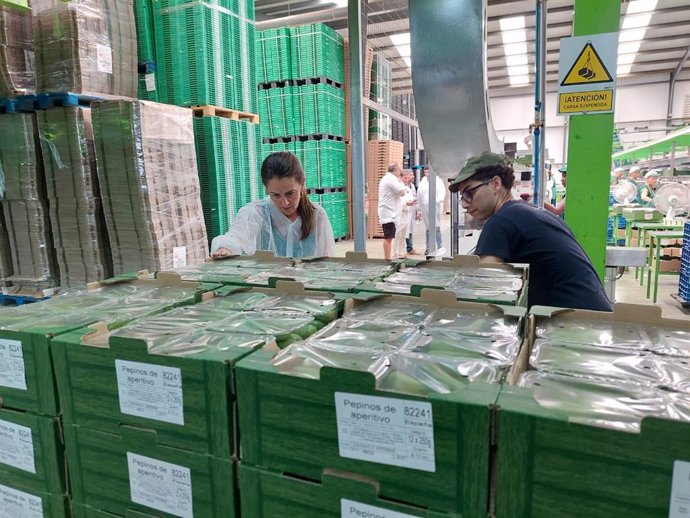 La delegada de la Junta de Andalucía en Almería, Aránzazu Martín, durante su visita a la línea de envasado de pepino snack en la cooperativa Cohorsan, en El Ejido.