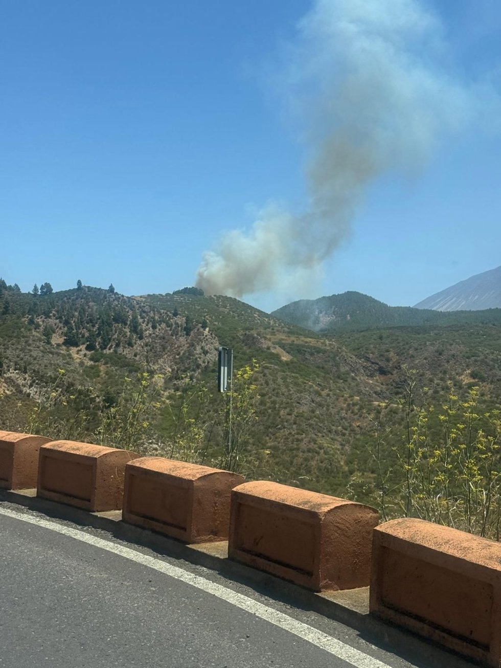 Declarado conato de incendio en la zona de Los Partidos de Franchy, en el Tanque (Tenerife)