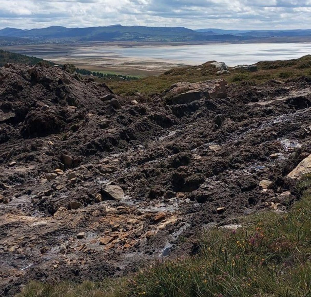 Plataforma para la Defensa del Sur de Cantabria pide cautelares para paralizar las obras del parque eólico del Escudo