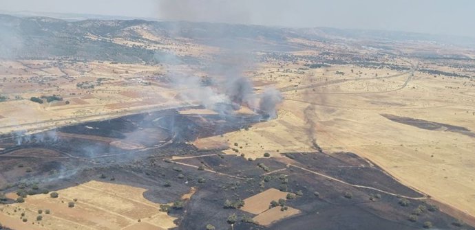 Un incendio en Brazatortas obliga a cortar la circulación del tren entre Puertollano y Venta la Inés