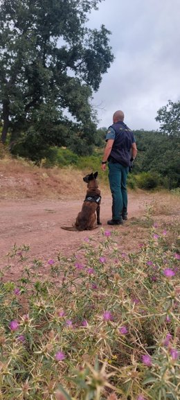 Continúa la búsqueda de un hombre desaparecido ayer en Nieva de Cameros