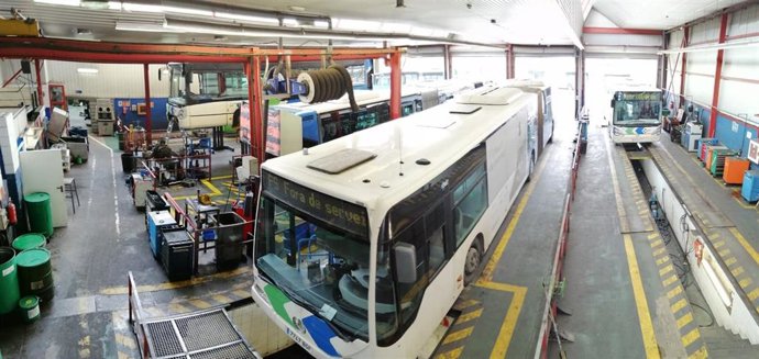 Archivo - Bus EMT Palma.