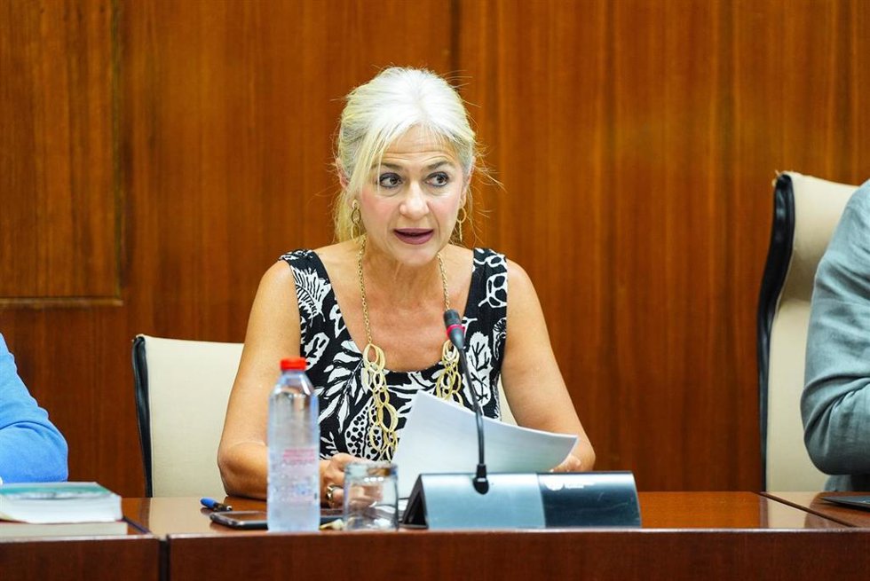 La consejera de Cultura, Patricia del Pozo, en la comisión del 28 de julio de 2025.