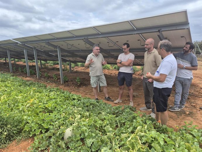 El conseller de Agricultura, Pesca y Medio Natural, Joan Simonet, visita el parque agrovoltaico de Son Moro.
