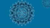 Foto: La OMS insta a tomar medidas contra la hepatitis y advierte de que causa más de 1,3 millones de muertes anuales