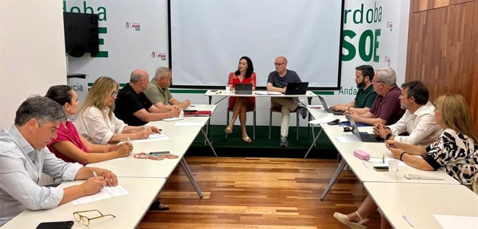 Rafi Crespín preside la reunión de la Permanente de la Dirección Provincial.