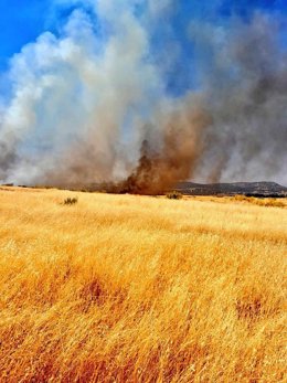 Incendio en Brazatortas que ha interrumpido la circulación ferroviaria entre Puertollano y Venta de la Inés.
