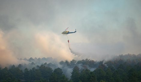 Medio Ambiente