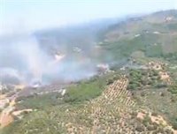 Controlado el incendio de Constantina y prácticamente sin llama ni humo el de Aznalcóllar (Sevilla)