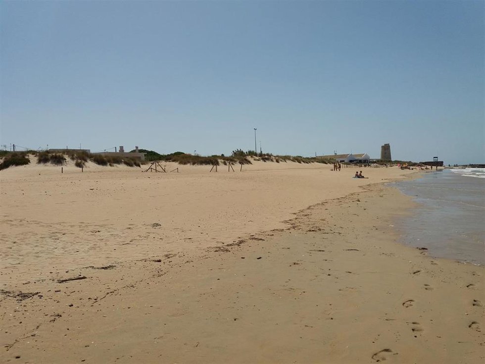 Archivo - Imagen de la playa de El Palmar.