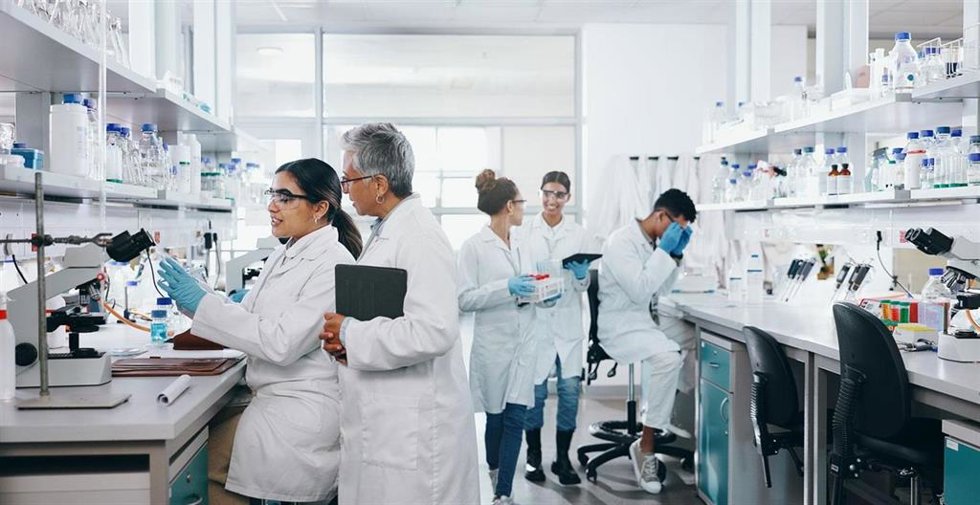Investigadores