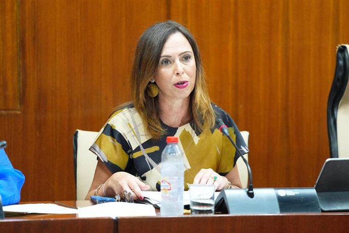 La consejera de Fomento, Rocío Díaz, en la comisión parlamentaria del 29 de julio de 2025.